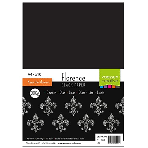 Florence 2920-0201 Fotokarton DIN A4, Schwarz, 300g/m², 10 Stück, Bastelpapier für Basteln, Scrapbooking, Handlettering, DIY-Crafts von Vaessen Creative