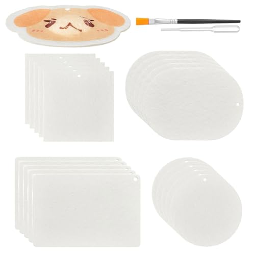 Vdaxvme 20-teiliges Schaumstoff-Texturpapier-Set mit Pinsel-Tropfer für Künstler, Anfänger, Erwachsene, Kinder, Acrylmalerei und Kunst von Vdaxvme