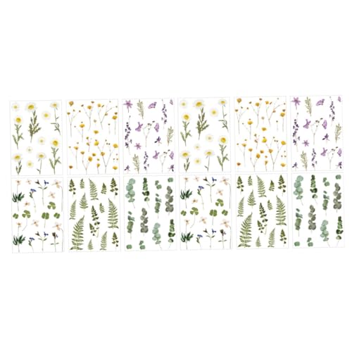 Veemoon 12Blätter Handgefertigte Pflanzenaufkleber für DIY Scrapbook und Tagebuch Dekorative Pet Sticker im Floralen Design für Bastelprojekte und Persönliche Gestaltung Veemoon 12Blätter Handgefertigte Pflanzenaufkleber für DIY Scrapbook und Tagebuch Dekorative Pet Sticker im Floralen Design für Bastelprojekte und Persönliche Gestaltung von Veemoon