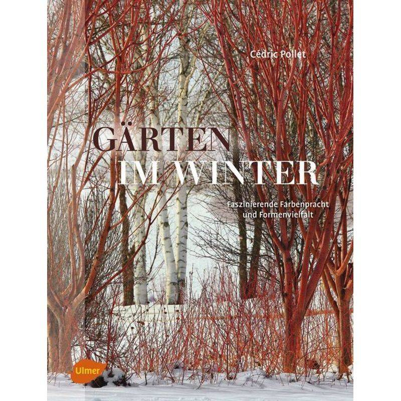 Gärten Im Winter - Cédric Pollet, Gebunden von Verlag Eugen Ulmer