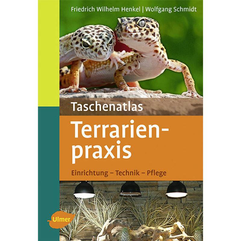 Taschenatlas Terrarienpraxis - Friedrich Wilhelm Henkel, Wolfgang Schmidt, Kartoniert (TB) von Verlag Eugen Ulmer