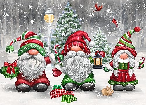 Vermont Christmas Company Weihnachtskarten Christmas Gnomes – 15 Karten und 16 mit Folie gefütterte Umschläge – verpackt in attraktiver roter Box – Karten messen 11,4 x 16,5 cm, gefaltet von Vermont Christmas Company