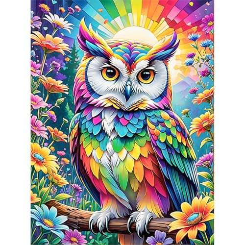 Diamond Painting Eule-5D Diamond Painting Erwachsene,Eule Diamond Painting Bilder für Home Wand Dekor(30x40cm) von Viart