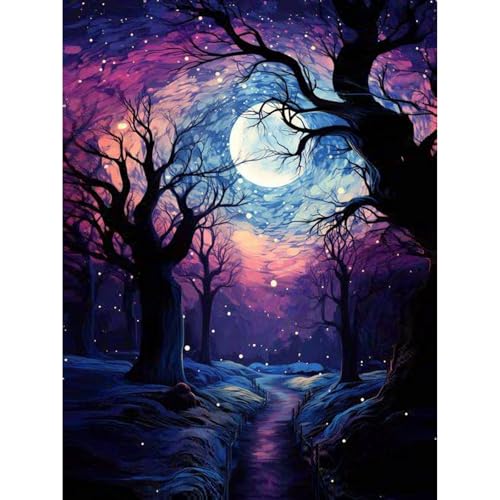 Diamond Painting Nacht-5D Diamond Painting Erwachsene Mond,Nacht Diamond Painting Bilder Erwachsene für Home Wand Dekor(Nacht,30x40cm) von Viart