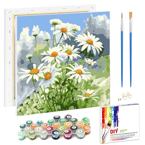 Viart Blumen Malen Nach Zahlen mit Rahmen-Malen nach Zahlen Erwachsene Geschenkbox,Blume Paint by Numbers Adult für Home Wand Dekor 20x20cm von Viart