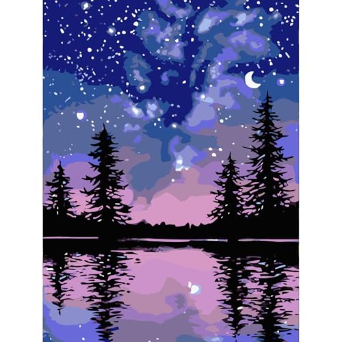 Viart Malen Nach Zahlen Sternenklarer Himmel-Malen nach Zahlen Erwachsene,Sternenklare Nacht Paint by Numbers Adult für Home Wand Dekor 30x40cm von Viart