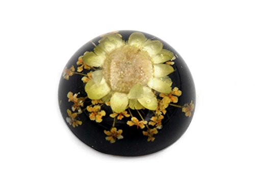 Cabochon aus schwarzem Harz mit Einer echten gelben Blume 18 mm 1 Stück von Vintageparts DIY Schmuck von Vintageparts FACHHANDEL FÜR SCHMUCKZUBEHÖR