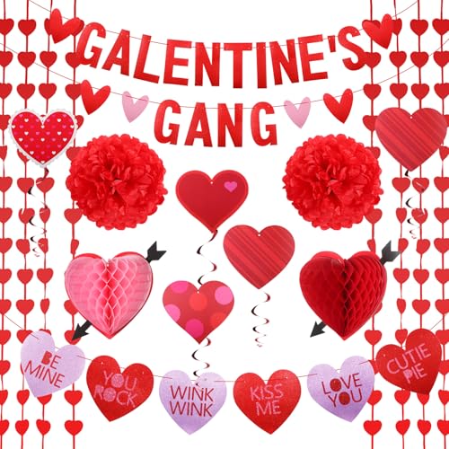 VioraWhite Galentines Bande Papier-Hängedekorationen Galentines Day Banner Herz Waben Wirbel Streifen Dekor Valentinstag Rot Rosa Zubehör für Antrag Hochzeit Jahrestag Party 14 Stück von VioraWhite