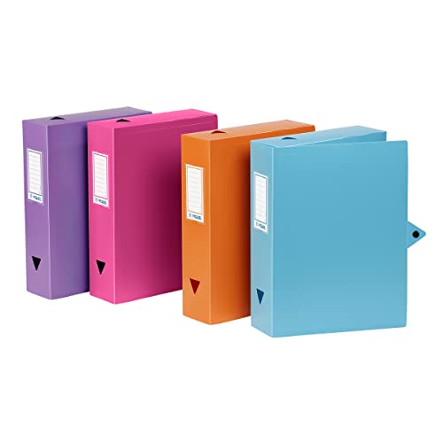 Viquel - 6 Kunststoffboxen - 6 Archivboxen mit Druckknopfverschluss - passende Aufbewahrungsboxen - Rücken 8 cm - Hergestellt in Frankreich von Viquel