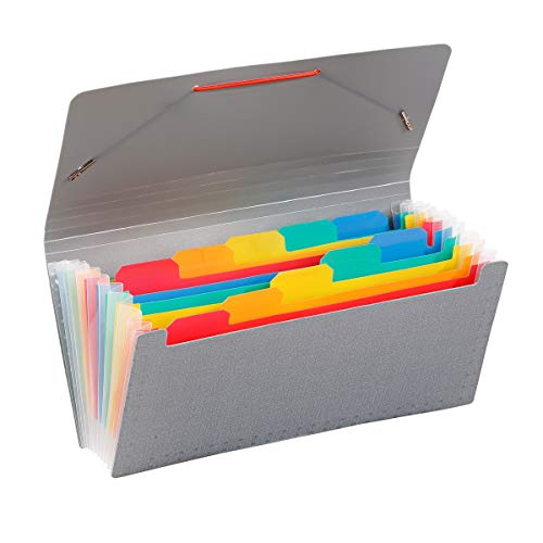 Viquel - Ordnungsmappe Akkordeon 10 Fächer – Scheckformat 26 x 13 cm Rainbow Touch, Grau von Viquel