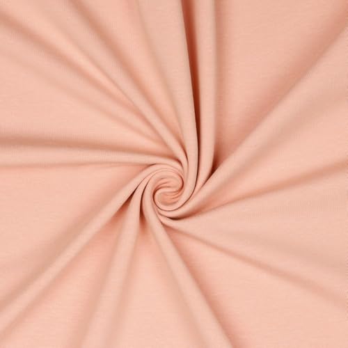 Jerseystoff Uni Meterware Tex Standard 100 zertifiziert 69 Farben zur Auswahl Uni + Meliert (071 I Alt Rose, 200 x 150cm) von VmG-Store