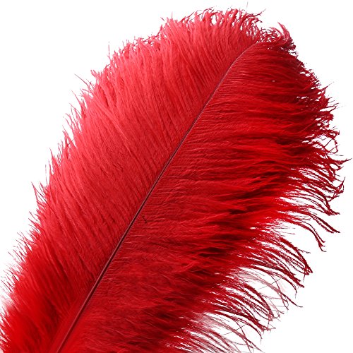 10 stücke Natürliche Straußenfedern Handwerk 12-14 zoll (30-35 cm) Plume für Hochzeit Mittelstücke Dekoration (30-35 cm,Rot) von VoilaLove