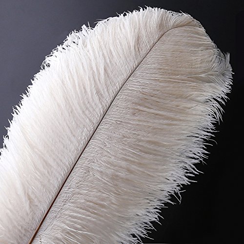 10 stücke Natürliche Straußenfedern Handwerk 12-14 zoll (30-35 cm) Plume für Hochzeit Mittelstücke Dekoration (30-35 cm,Weiß) von VoilaLove