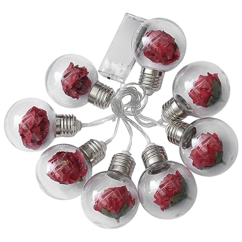 Vriusi Christmas Bulb String Lights | LED Globe Fairy Lights with Ornaments | batteriebetriebene Indoor Tree Lights Dekoration für Weihnachtsbaum und Feiertage Dekoration, Weihnachtsbeleuchtung mit von Vriusi