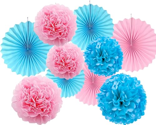 Vsosfiza Papier Dekoration Rosa und Blau,Hängender Papier Pompons und Papier fächer Rosa und Blaues,Seidenpapier Pompons und Papierfächer für Hochzeit,Geburtstag,Party(10 Stück) von Vsosfiza