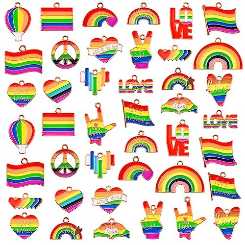 WANDIC 42 Stück LGBT Stolz-Anhänger, Emaille, Regenbogen mit Rückseite aus Goldlegierung, Charms, Gay Pride, für Schmuck, Armband, Halskette, Ohrringe, Herstellung, Eisen von WANDIC