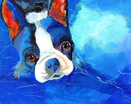 WANGMAOMAO DIY Ölgemälde Malen nach Zahlen Erwachsene Kinder Boston-Terrier Spielzeug malen Handgemalte Geschenke Zahlenmalerei ab 5 Öl Wandkunst -ohne Rahmen von WANGMAOMAO