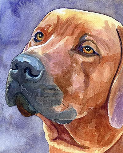 WANGMAOMAO Malen nach Zahlen Kits für Erwachsene Kinder Anfänger Rhodesian Ridgeback Tierhund DIY Ölgemälde Einzigartiges Geschenk Vorgedruckte Leinwand Wanddekoration Kunst 40x50cm -mit Rahmen von WANGMAOMAO