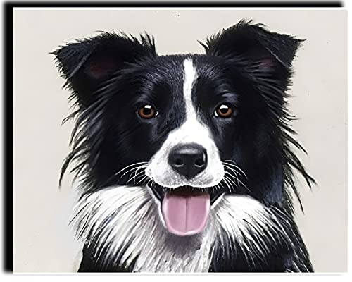 WANGMAOMAO Malen nach Zahlen für Erwachsene DIY Ölgemälde Nummer Leinwand Malerei für Erwachsene Kinder Heimtextilien ohne Holzrahmen (16x20in) tierischer Border-Collie -ohne Rahmen von WANGMAOMAO