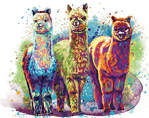 WANGMAOMAO Malen nach Zahlen für Erwachsene Kinder Drei bunte Alpakas 16x20 Zoll Leinen Leinwand Acryl DIY Number Painting Kits Wandkunst Dekor Geschenke-mit Rahmen von WANGMAOMAO