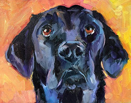 WANGMAOMAO Malen nach Zahlen für Erwachsene Kinder Schwarzer Labrador Retriever Tierhund 16x20 Zoll Leinen Leinwand Acryl DIY Number Painting Kits Wandkunst Dekor Geschenke -mit Rahmen von WANGMAOMAO