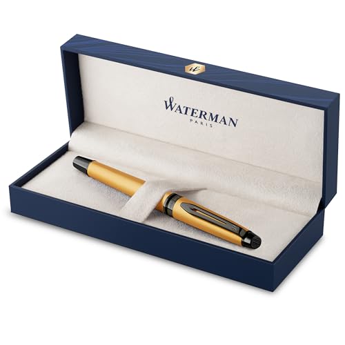 Waterman Expert Füllfederhalter | Silberfarbene Metallic-Lackierung mit Ruthenium-Zierteilen | Medium Edelstahlfeder mit PVD-Beschichtung | Blaue Tinte | In Geschenkbox, 1 Stück (1er Pack) von WATERMAN