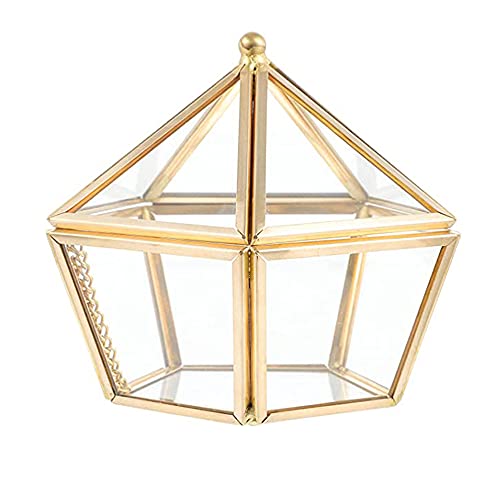 CaiYuanGJ Geometrisches Terrarium aus Glas, Glas Schmuckschatullen, Geometrisches Glas Terrarium Box, Schmuckschatulle Glas Terrarium Box, für Zeremonie, Hochzeit Dekorativ, Blumentopf Anzeigen von CaiYuanGJ