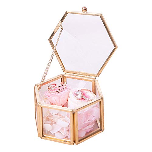 WDWDW Schmuckschatullen, transparente Schmuckvitrine aus Glas, europäischer Stil, Goldener Rand, Aufbewahrungsbox für Schmuck, Schmuckschatulle für Damen von WDWDW