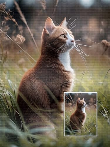 Benutzerdefinierte Diamantmalerei-Kits 5D DIY Diamond Painting Eigenes Foto für Erwachsene Personalisierte Foto Angepasstes Privates Bild Geschenke Heimwanddekoration, mit zubehör 70x70 cm y-54 von WEISHIWE