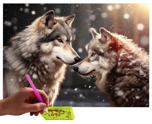 Diamond Painting Erwachsene Klein Größe 40x50cm, Diamond Painting Tier Wolf Diamant Painting Bilder Kinder DIY Diamond Painting Eckige Steine Gem Art Painting Kit für Home Wall Decor Geschenke C-608 von WEISHIWE