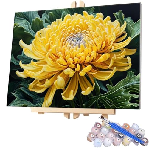 Malen Nach Zahlen Chrysantheme,70x90cm DIY Malen Nach Zahlen Erwachsene, DIY Kreativ Set für Erwachsene Handgemalt Ölgemälde Kits auf Leinwand Geschenk, Acryl-Malen Nach Zahlen für Wanddeko s-342 von WEISHIWE