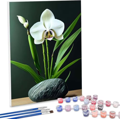 Malen Nach Zahlen Erwachsene, DIY Malen Nach Zahlen Handgemalt Ölgemälde Kit für Anfänger und Erwachsene, Orchideen Blumen Malerei Bastelset, Wohnwanddekor Mit Acrylfarben und Pinseln 20x30cm F-385 von WEISHIWE