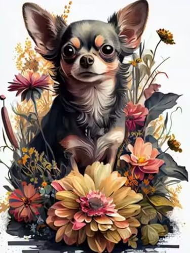 WELIWE Diamond Painting Kits für Erwachsene 5D Full Diamond Art Set DIY Diamant Kunst Malerei Kristallkunst für Heimdekoration Chihuahua 40×50 cm von WELIWE