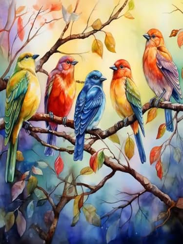 WELIWE Diamond Painting Kits für Erwachsene 5D Full Diamond Art Set DIY Diamant Kunst Malerei Kristallkunst für Heimdekoration bunter Vogel 40×50 cm von WELIWE