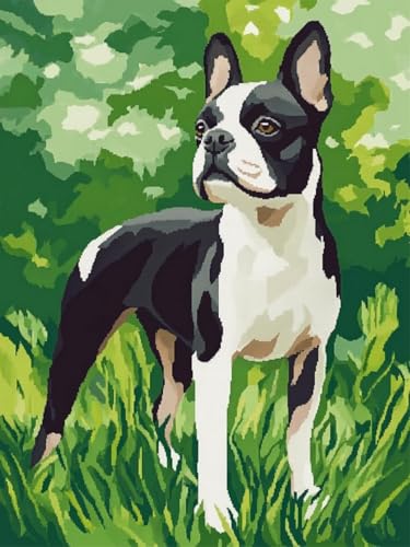 WELIWE Stickerei-Kreuzstich-Set 11CT Vorgedruckte Leinwand DIY Kunst Kreuzstich Kit für Anfänger Kinder Heimdekoration Rasen-Bulldogge 40×50 cm von WELIWE