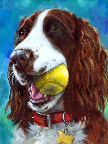 WELIWE Vorgedruckt Kreuzstich kit für Erwachsene 11CT Stickerei Set DIY Starter Stickbild Handwerk Heimdekoration Springer Spaniel 40×50 cm von WELIWE