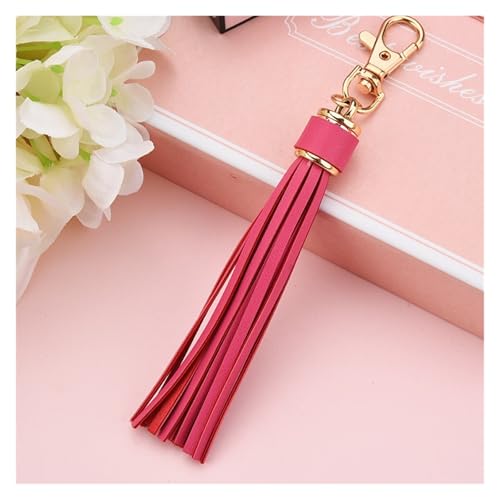 WENH 5Pcs Legierung Frühling Schloss Schlüsselbund Leder Quaste Anhänger DIY Kunst Kleidungsstücke Telefon Schmuck Dekor Fringe Trim Fringe Tasche Zubehör(Rose red Tassels) von WENH