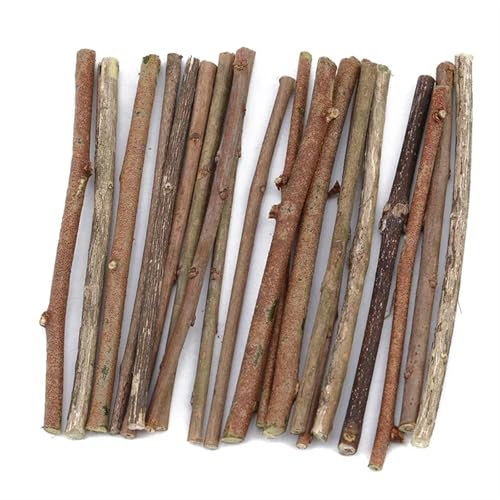 WENYOG Holzstäbchen zum basteln 100 Stück Holzstäbchen Weidenzweig Log Scheiben Sticks DIY Bastelbedarf for Hochzeitsfeier Hintergrund Malerei Dekoration Für Handgefertigte Kreationen von WENYOG