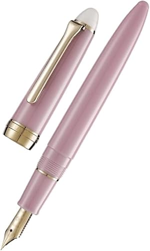 WERLIN Kugelschreiber Stift, feine Spitze, Schreibstift, glattes Schreiben, Kalligraphie-Stift, Schreibstift, ausgezeichnetes Geschenk Abordable von WERLIN