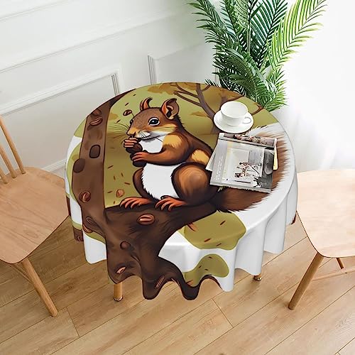 WHJSHOP Runde dekorative Tischdecke, 152,4 cm, schützt und dekoriert Ihren Esstisch, Eichhörnchen-Druck von WHJSHOP