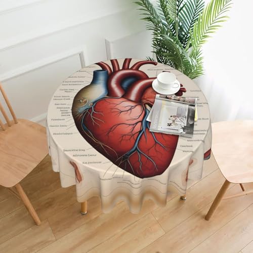 WHJSHOP Runde dekorative Tischdecke, 152,4 cm, schützt und dekoriert Ihren Esstisch, menschliche Anatomie, Herzdiagramm von WHJSHOP