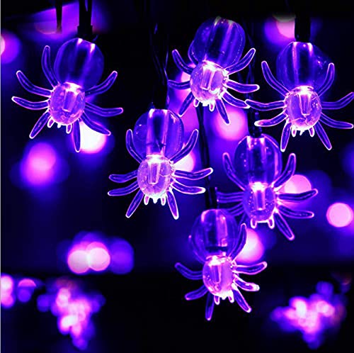 Lichterkette mit 20 LED-Lichtern, 3D-Kürbis-Lichterkette, batteriebetrieben, für Halloween, Weihnachten, Party, Garten, Hof, Terrasse und DIY-Dekorationen (Spinnen-Lila) von WHSCwp