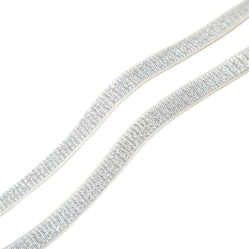 WJLYDM Elastische BäNder NäHen 10/15/20/25/30 mm Gold Silber Glitzer Gummibänder Bund Gummiband DIY Nähen Spitzenbesatz Kleidungsstück Zubehör 5 Yards(Silver-White Border,5METER_10MM) von WJLYDM