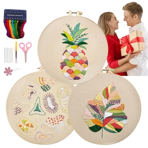 WJnflQN Stickset für Anfänger, einfache Sticksets für Anfänger - 3 Sets kreative Handstickerei | Schritt-für-Schritt-Anleitung, Nadelspitzen-Set, Nähset für Erwachsene, für Damen, Herren, Anfänger von WJnflQN