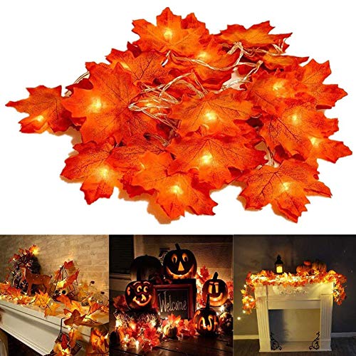 WMLBK Ahornblätter Lichterketten,2 Stück 6M 40LED Ahornblatt Girlande Herbst Blättergirlande Dekoration Lichter Batteriebetrieben Herbst Deko Indoor Outdoor für Weihnachten,Festival Party (2pcs 3m) von WMLBK