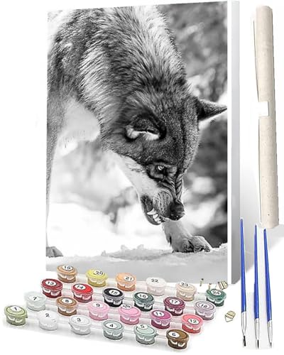 WMZPOY DIY Malen nach Zahlen Erwachsene Tiere Erwachsene Malen nach wilder Wolf Malen nach Zahlen Kunsthandwerk Geschenk für Home Wall Deco 40 x 50 cm(rahmenlos) von WMZPOY