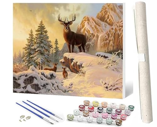 WMZPOY Malen Nach Zahlen Erwachsene Anfänger, ab 7 8 9 10 Jahre Mädchen für Home Deko Geburtstag Weihnachten Geschenk Schneeelch bei Sonnenuntergang Kommt Mit Farbe und Pinsel 40x50cm von WMZPOY