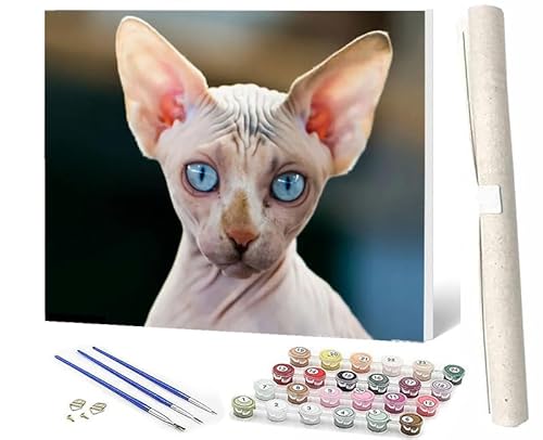 WMZPOY Malen Nach Zahlen Erwachsene Anfänger, ab 7 8 9 10 Jahre Mädchen für Home Deko Geburtstag Weihnachten Geschenk Sphynx-Katze 1 Kommt Mit Farbe und Pinsel 40x50cm von WMZPOY