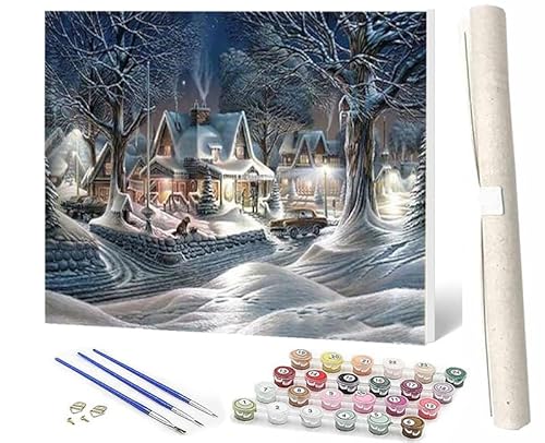 WMZPOY Malen Nach Zahlen Erwachsene Anfänger Snowy Lake Bridge Haus 13 DIY Handgemalt Ölgemälde Kits auf Leinwand mit Pinseln Acrylpigment Deko Painting by Numbers 40 * 50 von WMZPOY