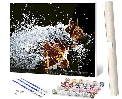 WMZPOY Malen Nach Zahlen Erwachsene Anfänger Wasserhund DIY Handgemalt Ölgemälde Kits auf Leinwand mit Pinseln Acrylpigment Deko Painting by Numbers 40 * 50 von WMZPOY